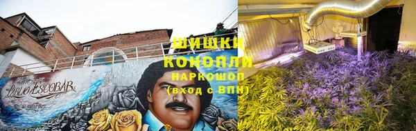 героин Алексин